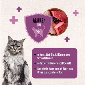 MACs Cat Vetcare Urinary Huhn 200g