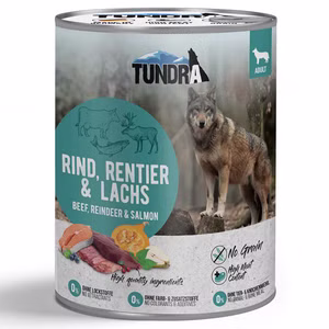 Tundra Dog Rind Rentier Lachs 6x800g