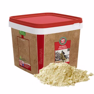 Salvana Muskel Protekt 3kg