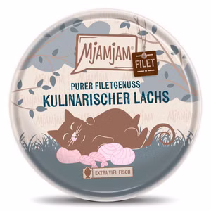 MjAMjAM purer Filetgenuss kulinarischer Lachs 80g