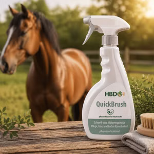 HBDs QuickBrush 500ml