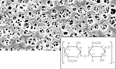  Membranfilter aus Regenerierter Cellulose / Typ 18407  