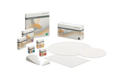  Quantitative Papiere/ Sorte 390  