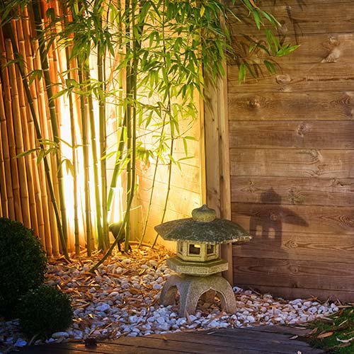 Zen Garten mit Baumbus beleuchtet mit Gartenstrahler