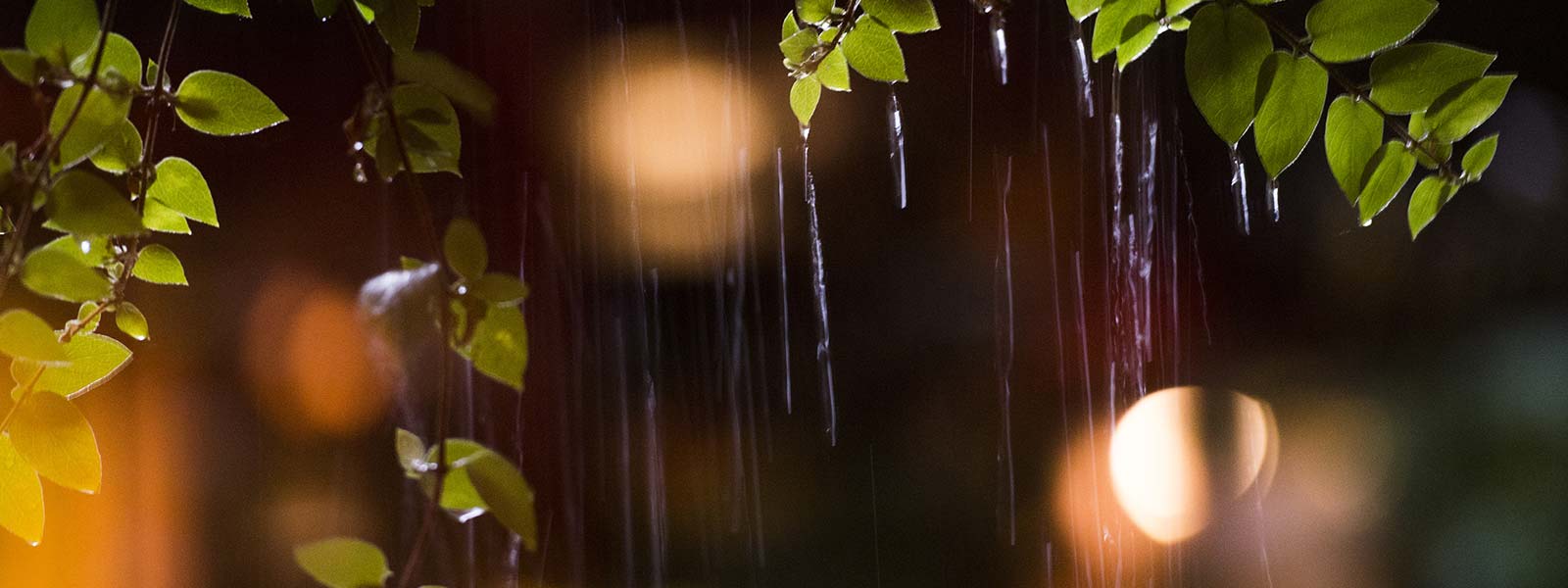 Gartenbeleuchtung bei Nacht im Regen
