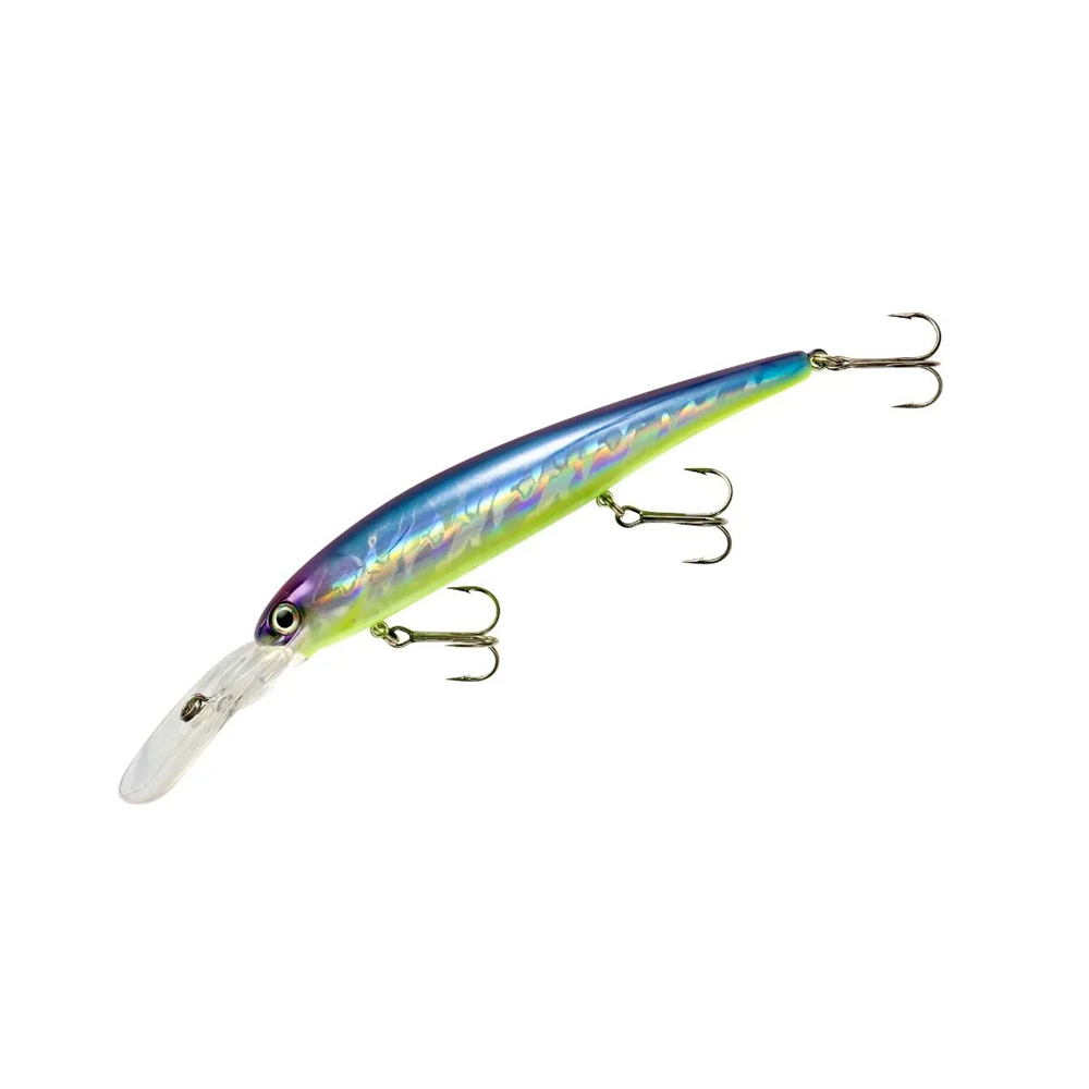 CINQUE Imbracature Cingolate Walleye: Set Completo Per La Pesca Al Trofeo