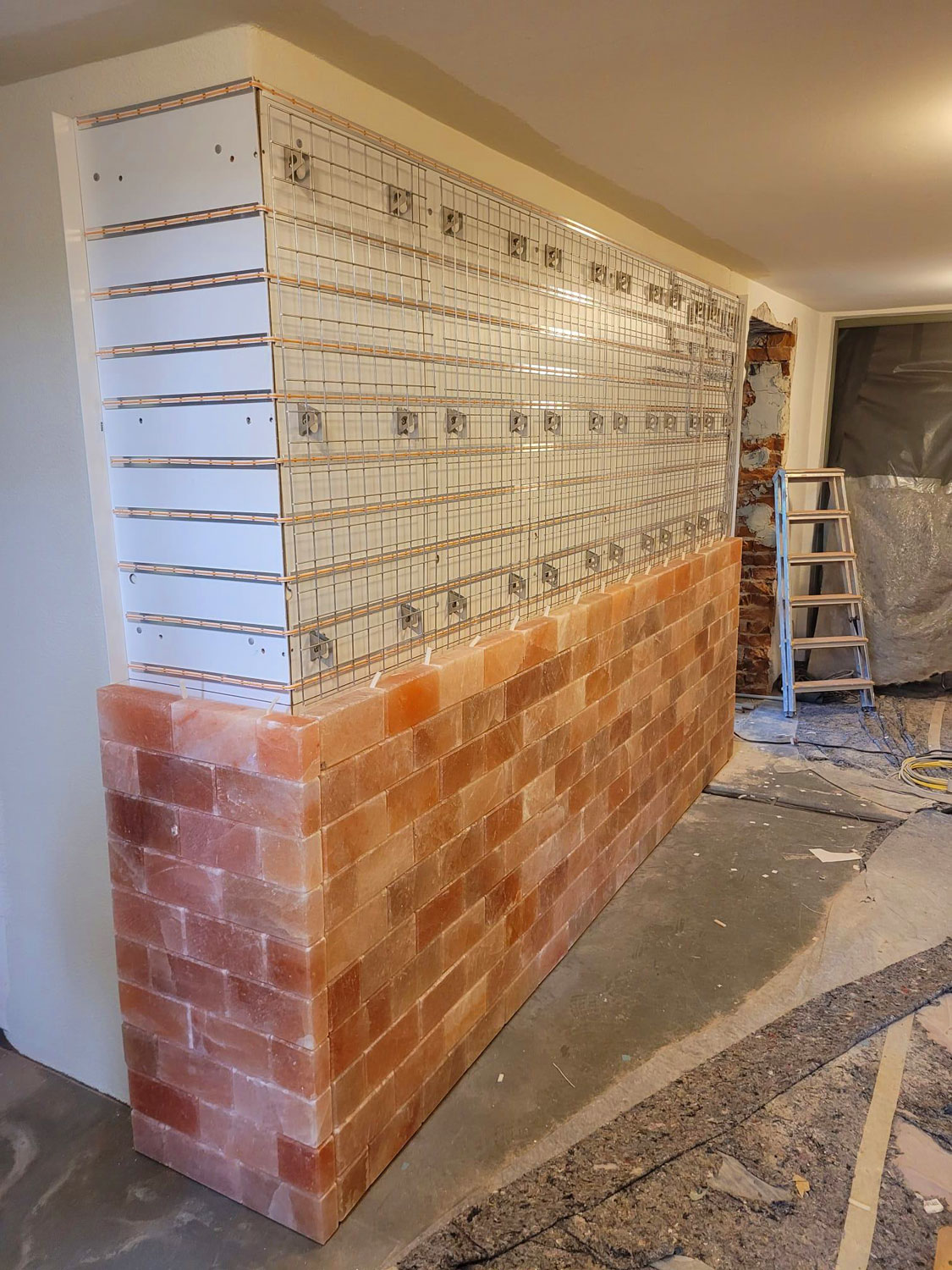 Salzwand Heart-Garden Cafe Amsterdam