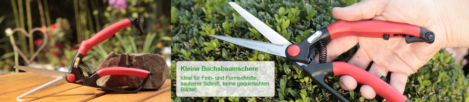 Bonsai schneiden - diese Schnitttechniken sollten Sie kennen!