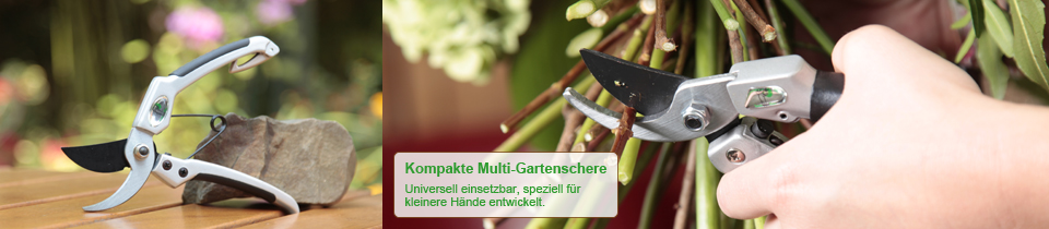 Bougainvillea schneiden für üppige Blütenansätze