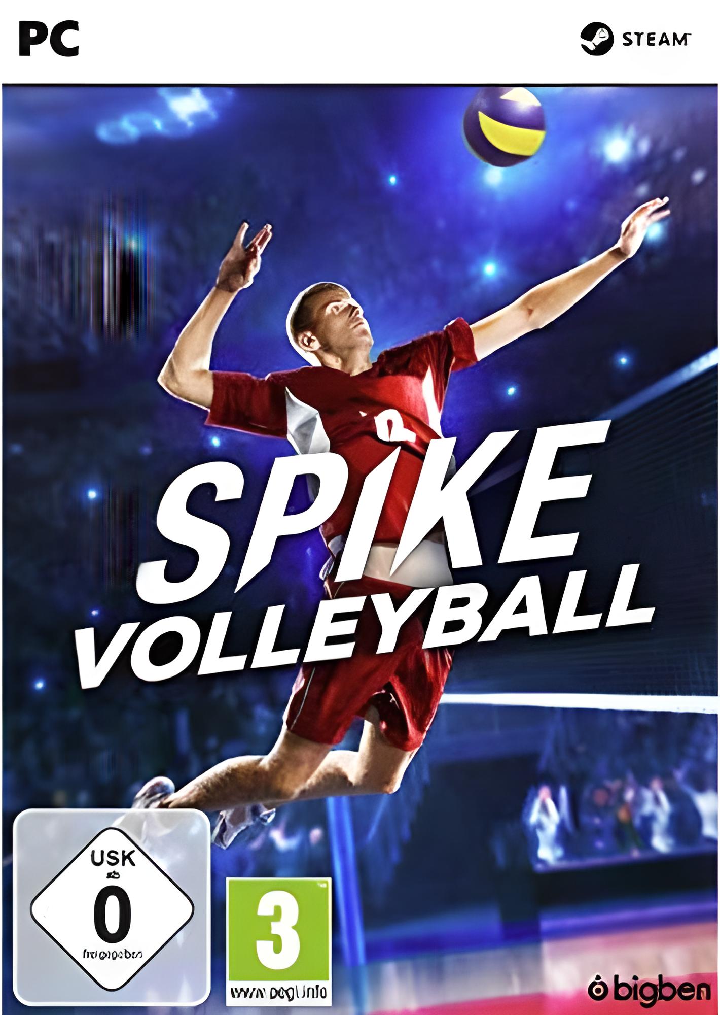 Spike Volleyball PC