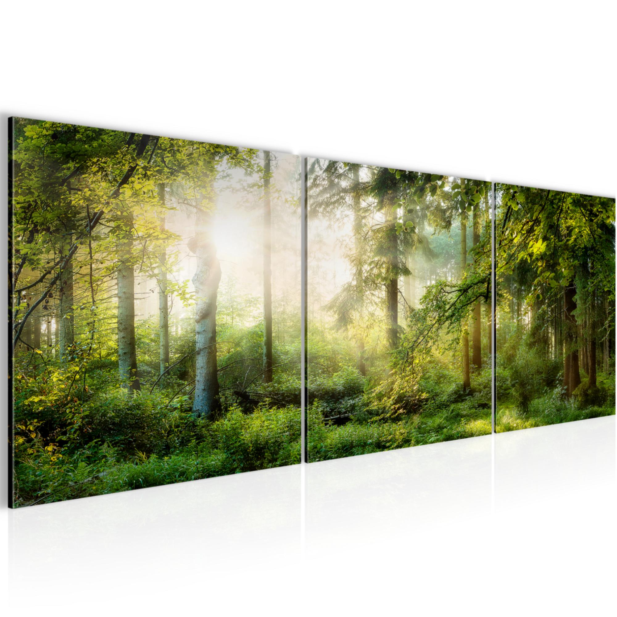 Bild Bilder Wandbild XXL Kunstdruck Leinwand aus Vlies Wald Landschaft Deko