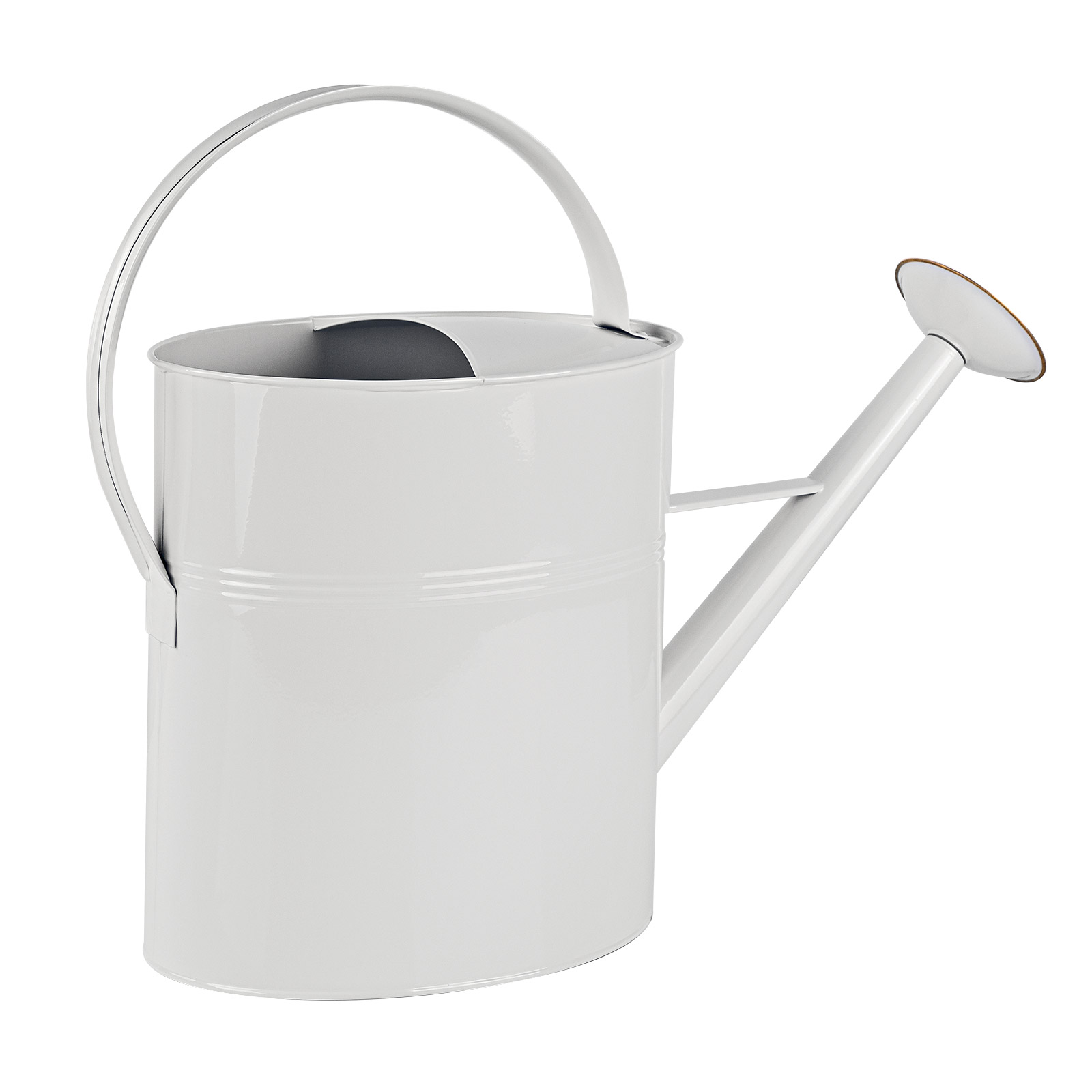Mikikit Transparente Giekanne Mit Langem Edelstahl Ausguss  1,2L Robust &  Bruchsicher Fr Zimmerpflanzen & Garten
