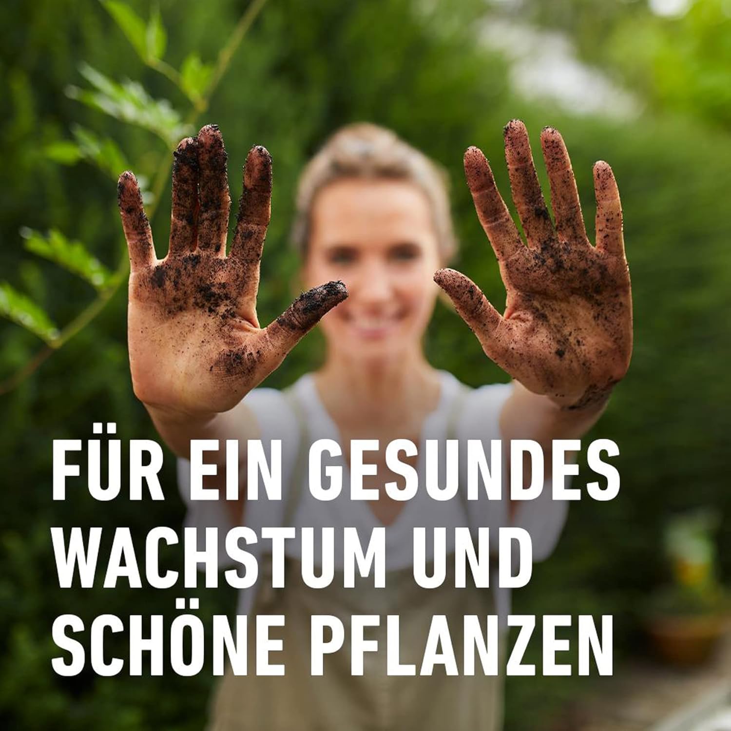 bio saatgut samenfest Bio-Gartengemüse Samen-Set kaufen main image 0