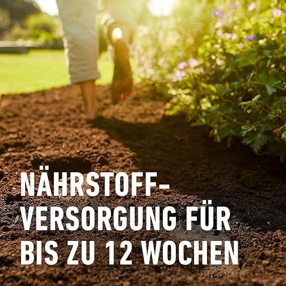 dekopflanze künstlich Kunstpflanze Prunus Kirschblüte Weiß 135cm Deko kaufen main image 1