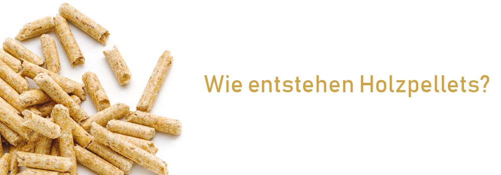 Wie aus Spänen oder Hobelrückständen Holzpellets werden