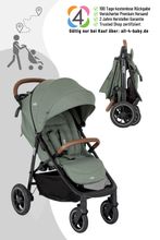 Joie Litetrax Pro Buggy und Sportwagen