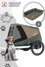 Croozer Dog Enna Bundle inkl. Enna Hundebett - Farbe: Moos Green