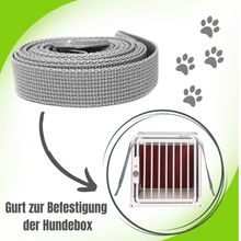 4pets Dog Strap Fix Spann - Gurt für Dog Box