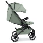 ABC Design Ping 3 Trekking Buggy - Reisebuggy ab 6 Monaten bis 22 kg