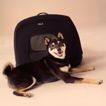 Tavo Crispin Tier Transporttasche Medium / extra leicht