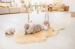 Fellhof Baby-Lammfell geschoren