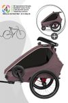 Qeridoo Kidgoo 1 - Kinderfahrradanhänger für 1 Kind - Modell 2026