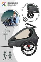 Qeridoo Kidgoo 2 - Kinderfahrradanhänger für 2 Kinder
