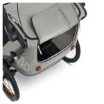 Hauck Bike n Walk Duo Kinderfahrradanhänger