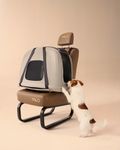Tavo Crispin Tier Transporttasche Small / nur 3,4 kg Gewicht