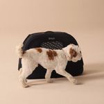 Tavo Crispin Tier Transporttasche Small / nur 3,4 kg Gewicht