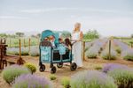Wonderfold W2 Luxe Pro Kinderwagen für 2 Kinder / Bollerwagen Van Gogh Edition