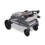 Wonderfold L2 Kinderwagen für 2 Kinder / Bollerwagen