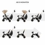 Kinderkraft Dreirad Jazz 2