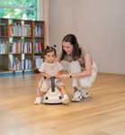 Globber Walk n’ Roll 2in1 Eco / Laufwagen und Rutscher