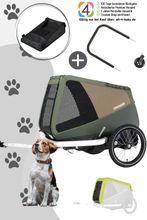 Croozer Dog Enna Happy Walk Bundle inkl. Regenverdeck, Packfach und Buggy-Set