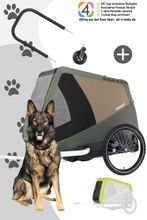Croozer Dog Tammo Flex & Go Bundle (inkl. Buggyset und Regenverdeck)