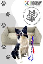 Nobby Orthopädisches Bett CALBU