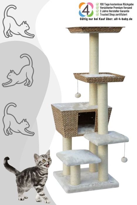 Nobby Kratzbaum Motega