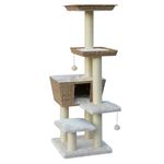 Nobby Kratzbaum Motega