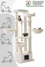 Nobby Kratzbaum MUSAN (Höhe 203 cm)