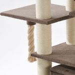 Nobby Kratzbaum HITAL (Höhe 157 cm)