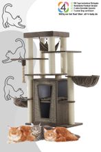 Nobby Kratzbaum HITAL (Höhe 157 cm)