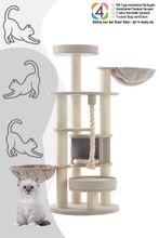 Nobby Kratzbaum FIDA (Höhe 165 cm)