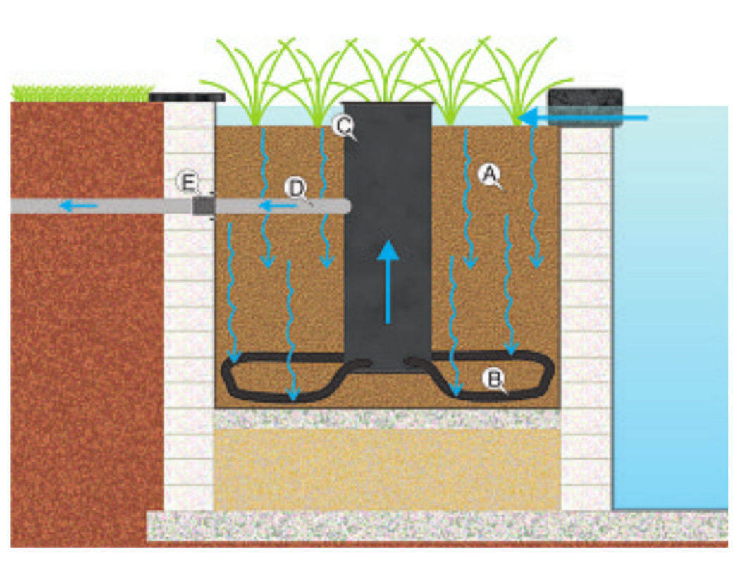Helophytenfilter DownFlow