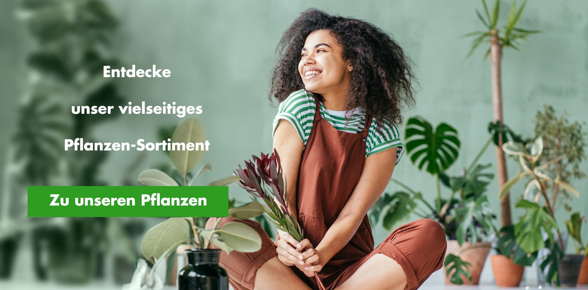 Pflanzen