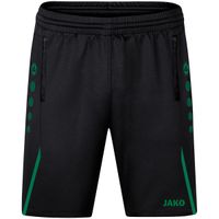 JAKO Trainingsshort Challenge