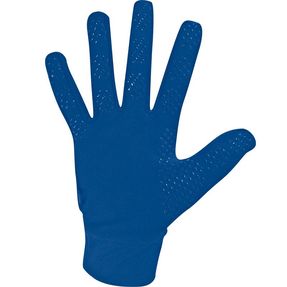 Teamshop Basics Feldspielerhandschuhe Funktion