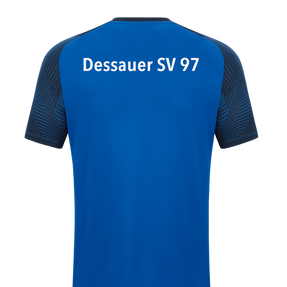 Dessauer SV 97 e.V. T-Shirt Performance