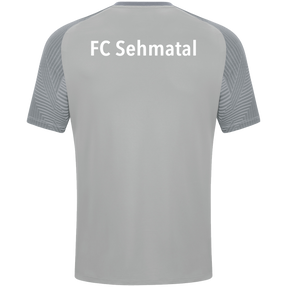 FC Sehmatal T-Shirt Performance