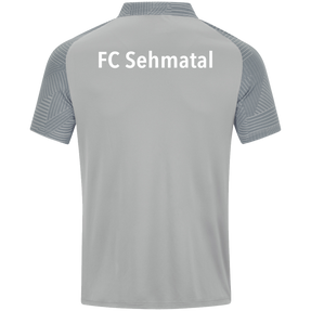 FC Sehmatal Polo Performance
